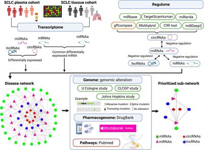 Multi-Omics Integration-Based Prioritisation of Competing Endogenous RNA Regulation Networks in Small Cell Lung Cancer: Molecular Characteristics and Drug Candidates